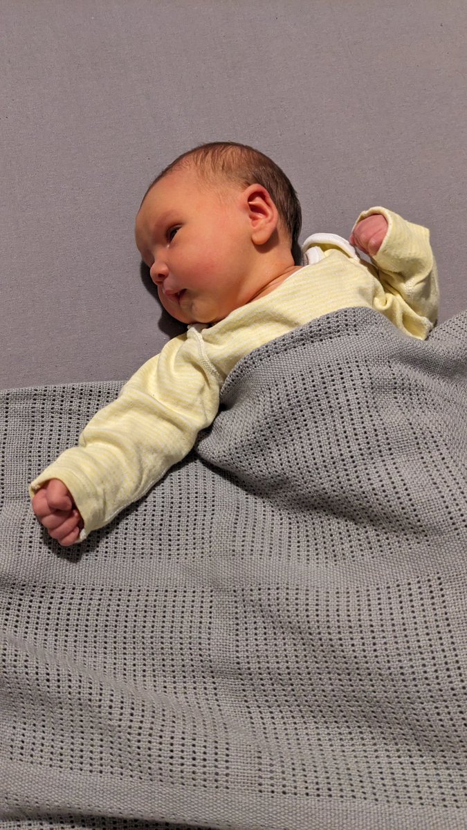 Claire Housley tweet media