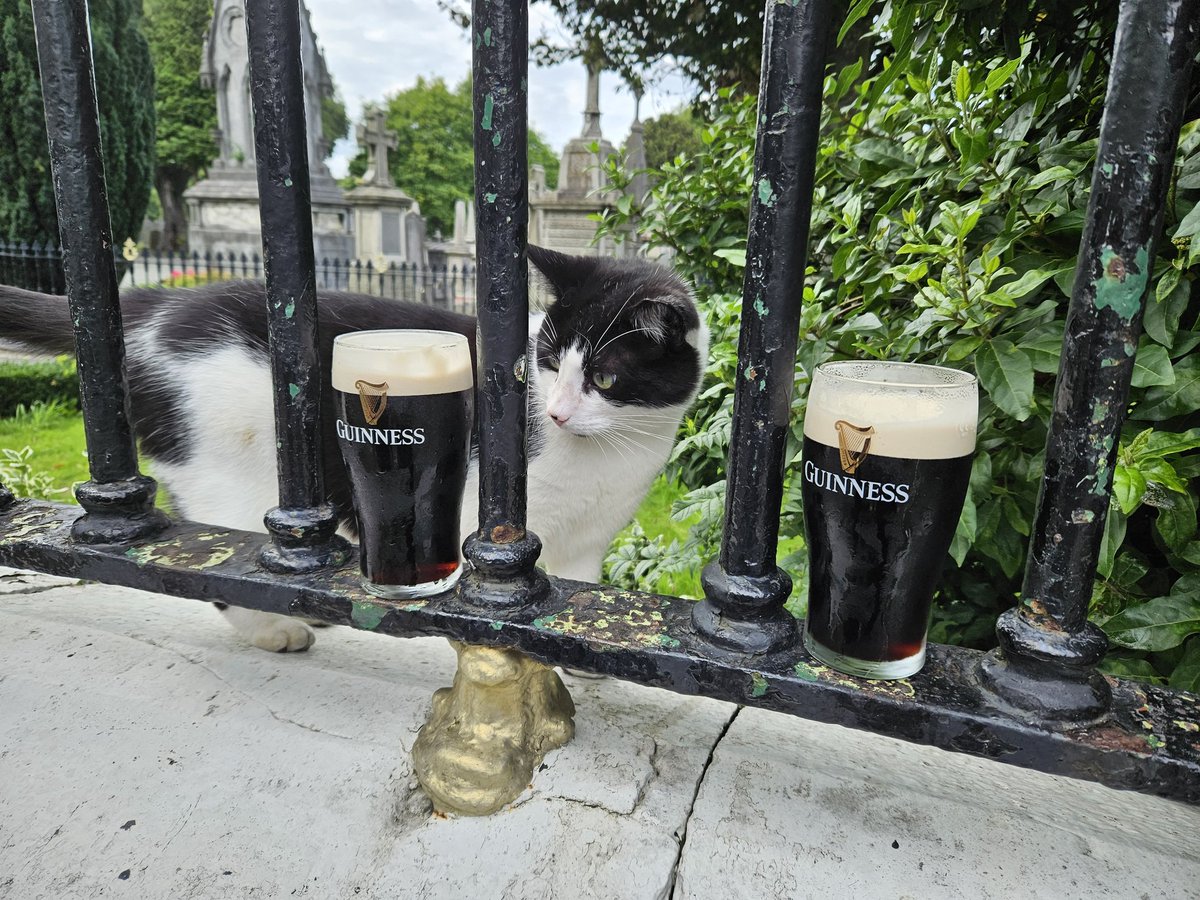 Black and white #heaveninglasnevin #discopablo #GlasnevinCemetery