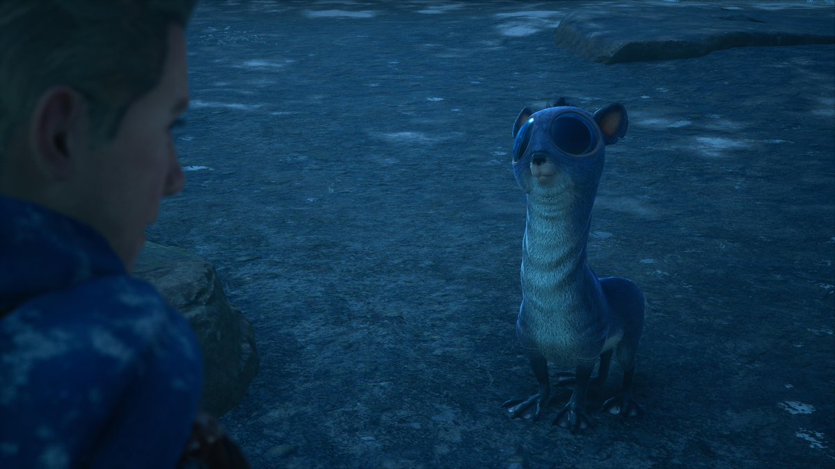 Yvan Christinet tweet media