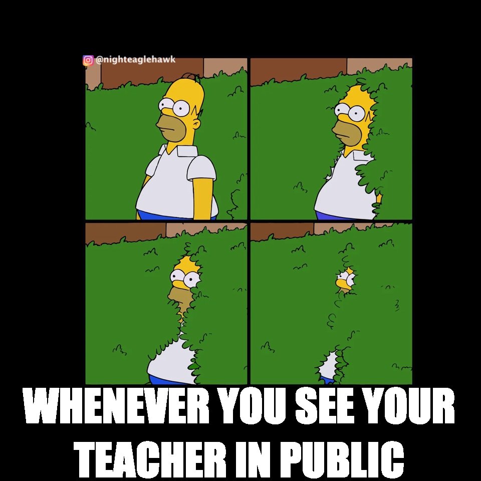 nighteaglehawk's tweet photo. You are a teacher that lives at school, not a normal person with a life. #class #student #teacher #school #meme #memes #memesdaily #homersimpson #simpsonmemes #simpsons #hiding #education #avoid #public #thesimpsons #teachers #teacherlife https://t.co/Ew5c5GvPlU