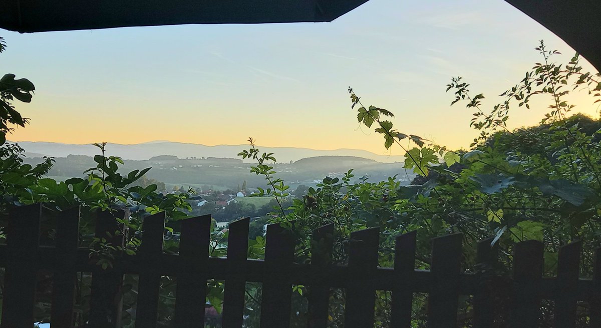 RadlAndrea's tweet photo. @gebirgsziege Der Blick vom Buschenschank ins Land an einem Sommerabend https://t.co/hlVH21qraD