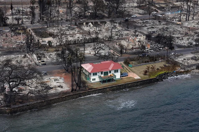 interestingaf's tweet photo. The Red House That Survived Hawaii Wild Fires https://t.co/NYzKVbH0hK