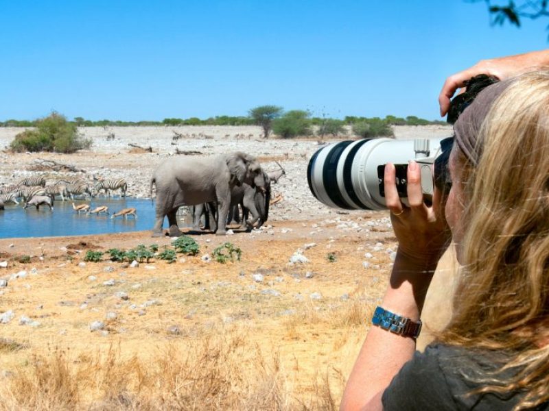 cronicasdefauna's tweet photo. En 2018 el turismo de observación de fauna a nivel mundial tuvo un impacto económico de 120.000 millones de dólares. CINCO VECES MÁS que el impacto estimado del tráfico ilegal de animales silvestres y/o sus partes, algo muy lucrativo. Pues ver animales libres es más lucrativo. https://t.co/Ok4rOEeOSL