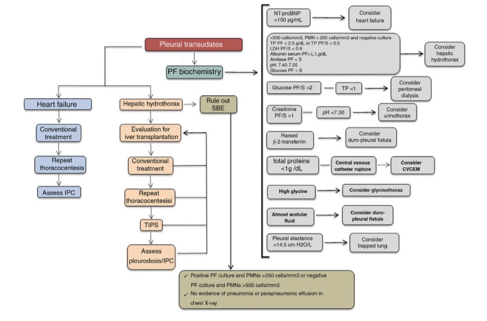 ‼️🔝Most read article in 2023 <a href="/ArchBronconeumo/">Archivos de Bronconeumología (FI 9,2 D1)</a> "Diagnosis and Treatment of Pleural Effusion. Recommendations of the Spanish Society of Pulmonology and Thoracic Surgery. Update 2022" archbronconeumol.org//en-diagnosis-…