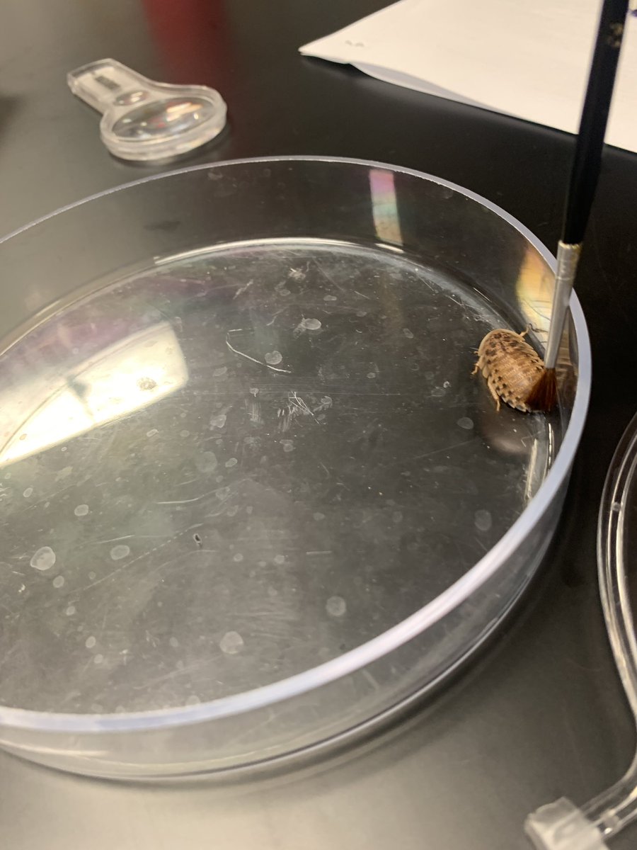 Sherri Wagner tweet media