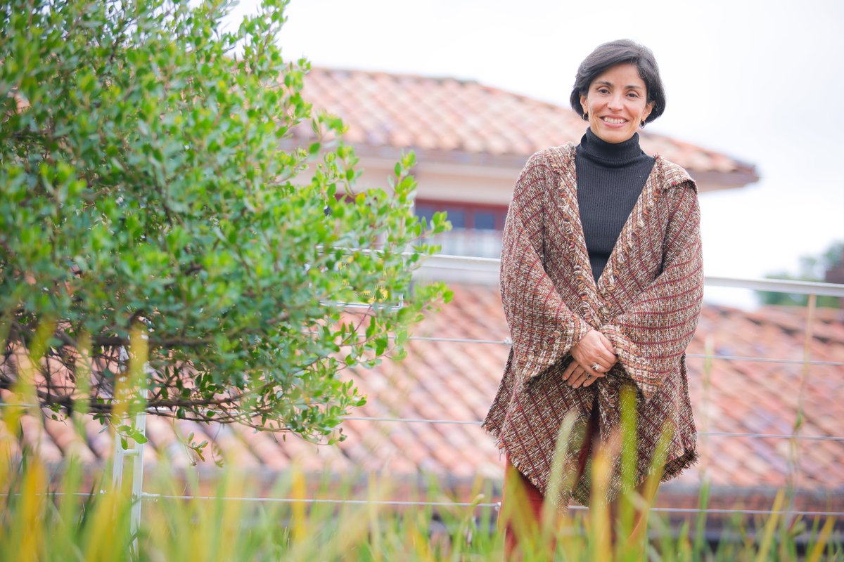 Jimena Hurtado Prieto (@JimenaHurtado) es la nueva vicerrectora de Investigación y Creación en la Universidad de los Andes. uniandes.edu.co/es/noticias/no…