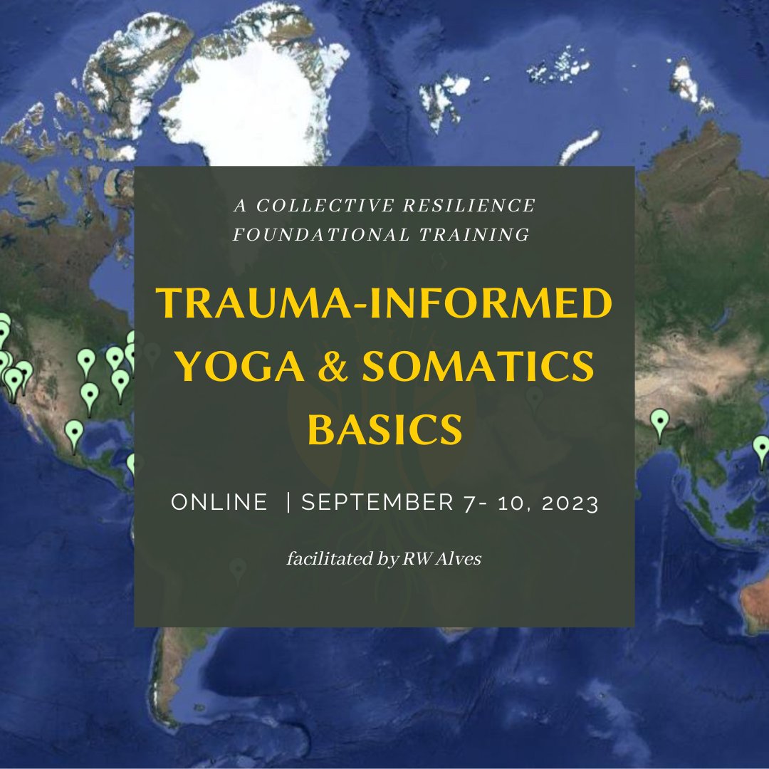 HalaYoga's tweet photo. .@ClctvRslncYoga's Trauma-Informed Yoga &amp; Somatics Training and Certification... this fall, online + in-person. Offered on a sliding scale, these foundational trainings are open to all (no prerequisites). https://t.co/Y0MeeMAMEv https://t.co/xdQe2bqAID