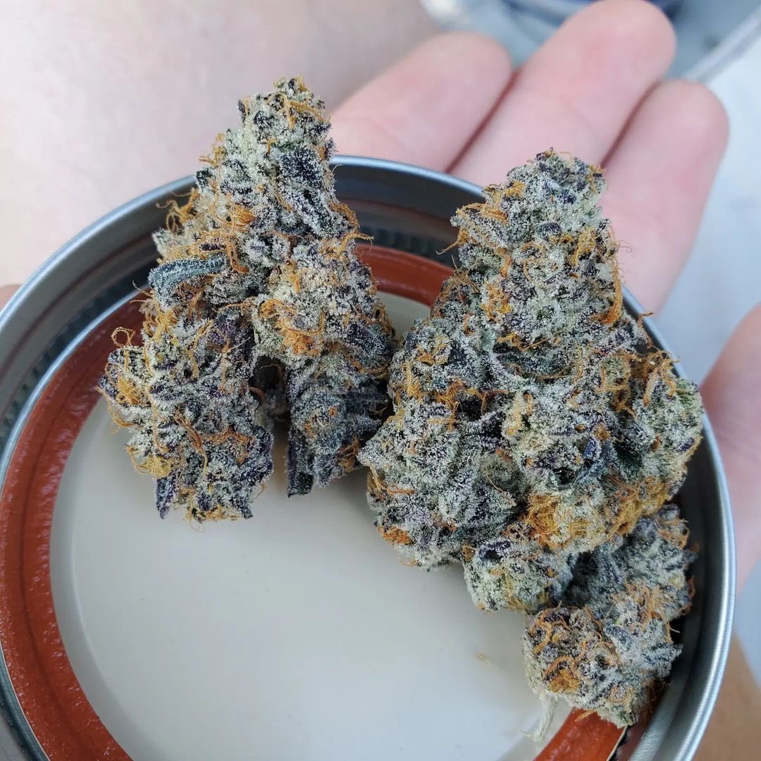 Raw_Genetics_'s tweet photo. Carbon cake 🎂 ⛽️ (carbon fiber X Apples n bananas) #rawgenetics #fuelthejet #thisisraw #FlavorForward https://t.co/sGlEVvNHAa