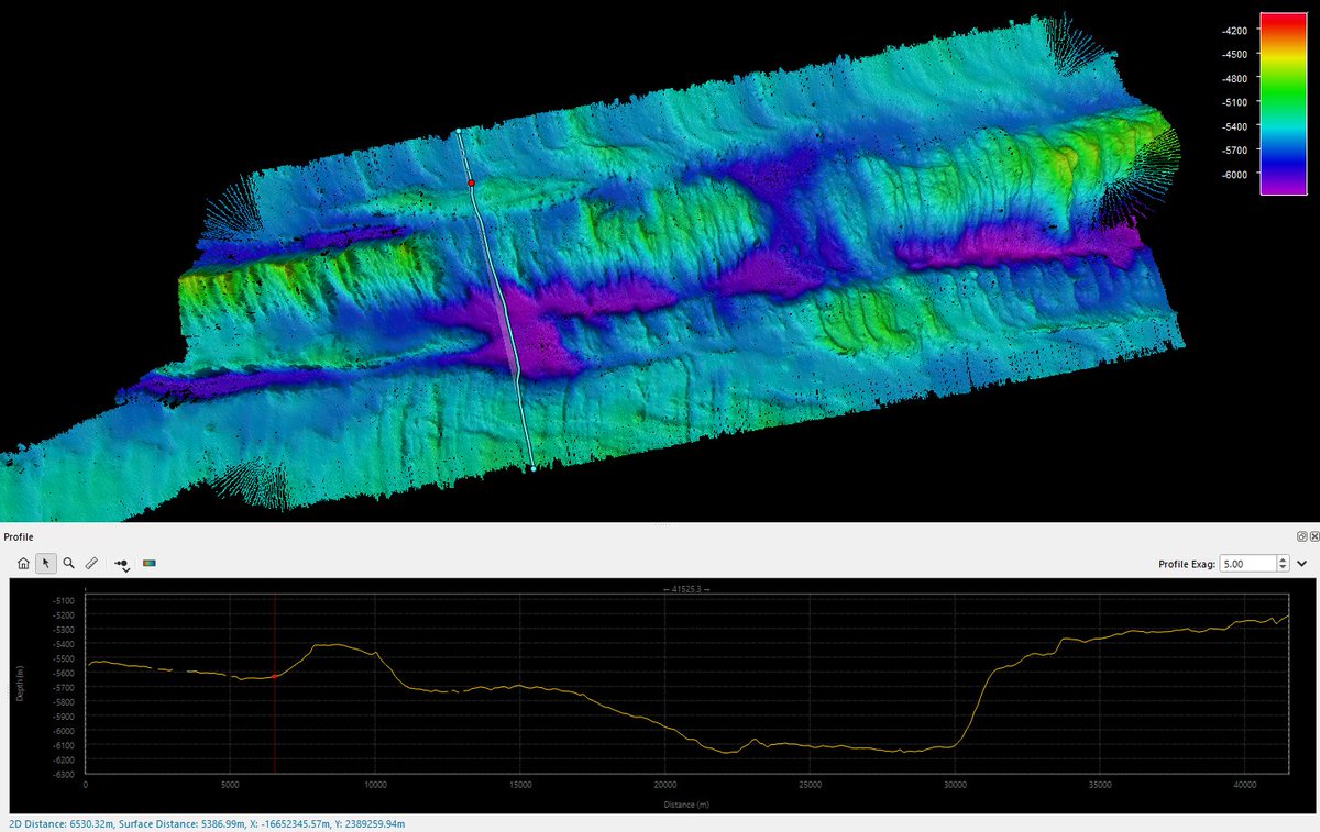 Catriona Macdonald tweet media