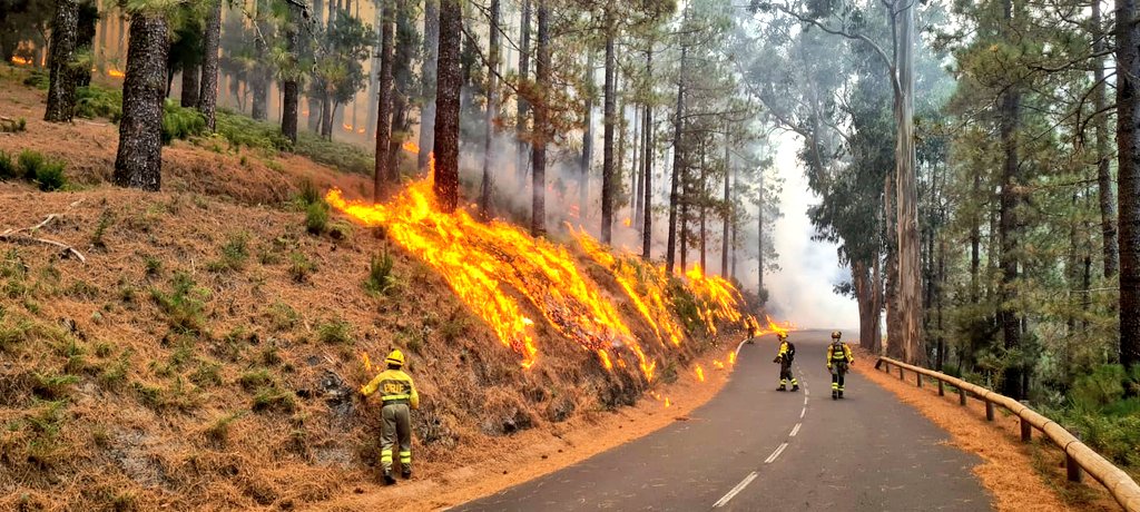 AT_Brif's tweet photo. 🔴PARTE INTERVENCIÓN 16/08/23➡️1 #BRIF de @mitecogob ha intervenido en 1 IF.

🔥#IFArafoCandelaria TF
🧑‍🚒@BrifPuntagorda 📸
🧑‍🚒@BrifPuntagorda RD

Durante esta noche trabajará @BrifPuntagorda RD.

Mañana activadas para sumarse a este incendio otras 2 BRIF más:
@BRIF_PINO
@briflubia https://t.co/V6pUVR5i9G
