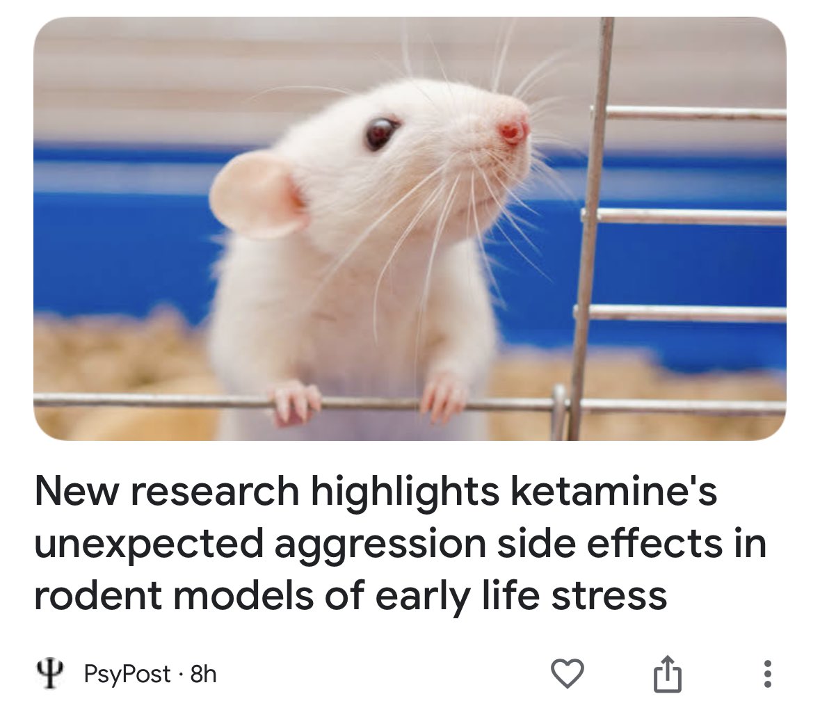 To any kid who thinks science isn’t cool, just know it’s someone’s job to feed mice drugs and watch the hilarity ensue