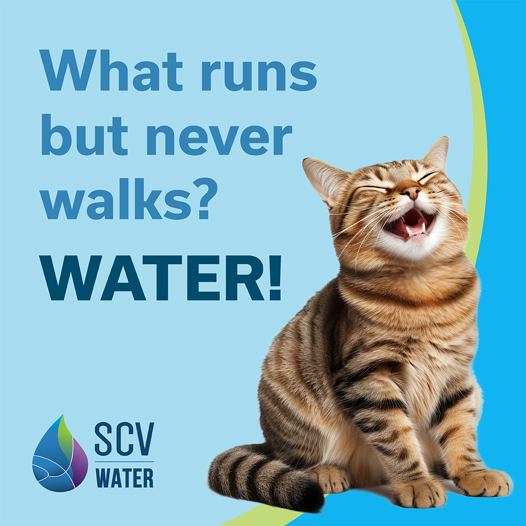 scv_water's tweet photo. Itβs Tell A Joke Day! Not feeling funny or punny? Here are a few humorous water jokes that will brighten up your day!
#CAWater #SCVWater #SantaClarita #SCV #TellAJokeDay https://t.co/8H66zPutN3