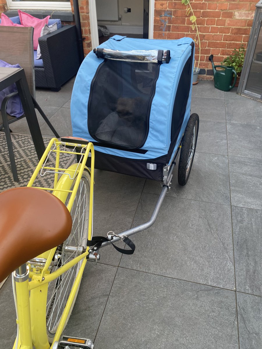 cooper_terrier's tweet photo. OMD Mam az got me a jail on 🛞 🙄🤪#btposse https://t.co/RC3fl5ViFn