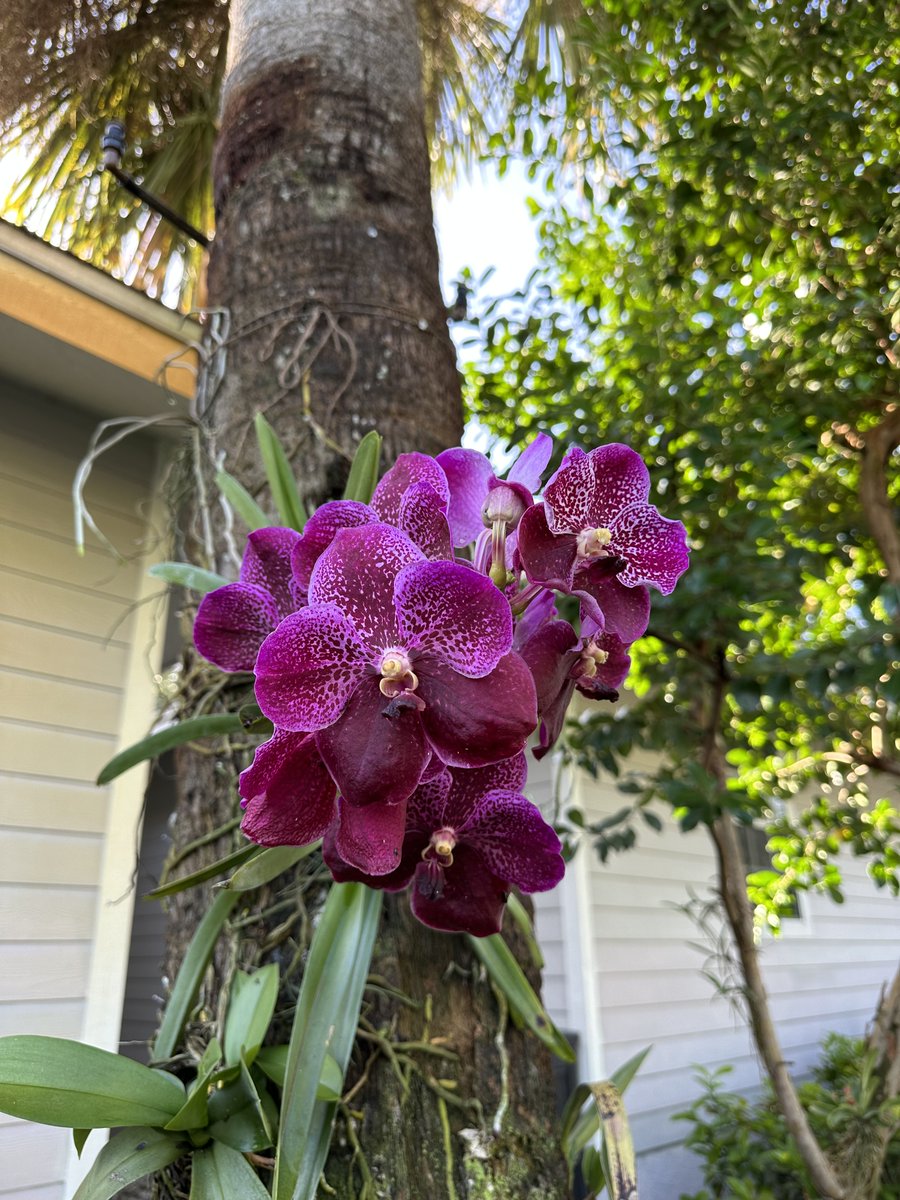 GoodladandSwank's tweet photo. The office is looking extra pretty this summer! https://t.co/fuVlQPuM0N