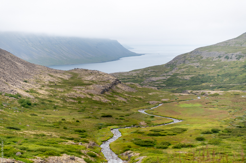 Paolo Missier tweet media