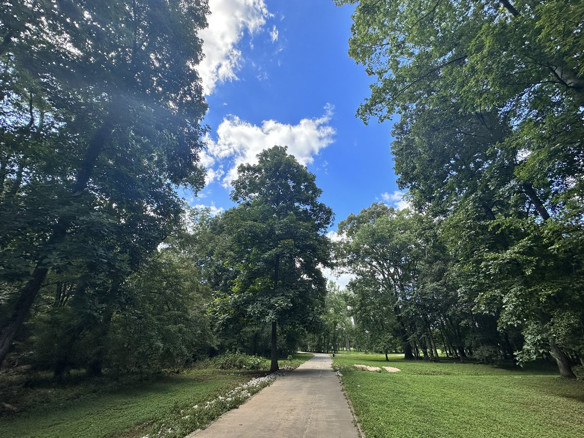 scorpeswriter's tweet photo. Little walk with Ms Lily today to survey the recents flood storms . A lot of downed trees 🌳 but life goes on. 
#forest #WalkwaysWednesday #summer2023 #GreenInitiative https://t.co/00kOOinPtj