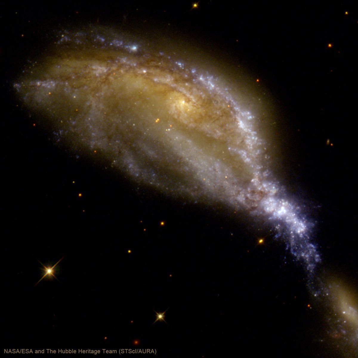 Today Chandra is studying a galaxy cluster in Lyra. Nearby in the sky is NGC 6745. Shaped like the head of a bird about to grab a tasty bite of food, the galaxy's spiral shape has been distorted by a collision with a smaller galaxy located almost out of view on the lower right.