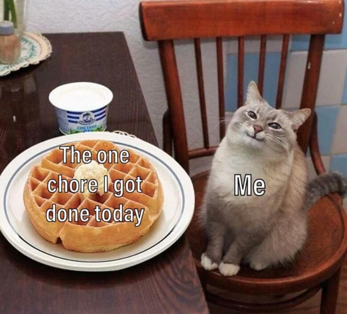 WholesomeMeme's tweet image. 