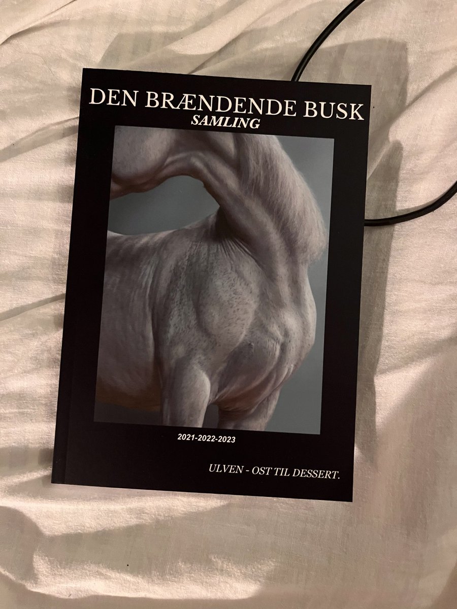 DijkStorme's tweet photo. Den Brændende Busk Samling
Er nu trykt og sat i salg i et omfang på hele 33 enkelte eksemplarer. @rnortenjensen den bedste redaktør man kunne drømme om, og jeg samt teamet har fortjenesten. Alene. Mange tak for støtten til jer andre.

“Mr Gorbachev tear down this wall” https://t.co/iIMNrzm7r0