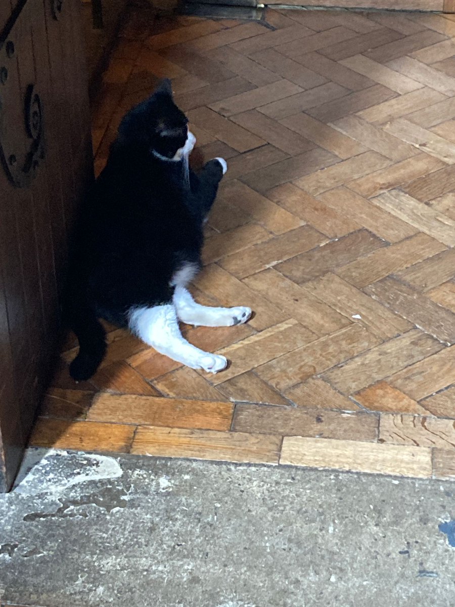 Great to meet @HodgeTheCat today at @Southwarkcathed @davisliam