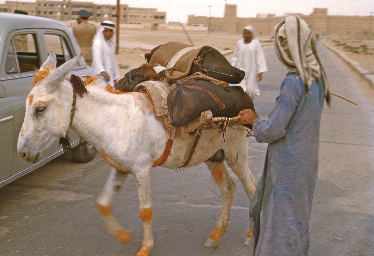 مجموعة صور الطبيب الأمريكي داريل كرين كاملة لمدينة الرياض 1950 م