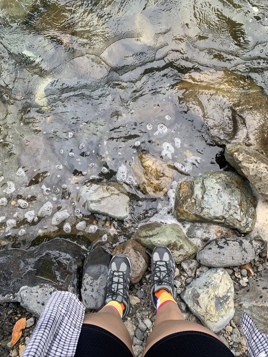 shaslackds's tweet photo. hacer hiking, conocer bosques y meditar rodeada de vida es uno de los placeres más grandes que hay🌳🪨 https://t.co/ieqn1UhLA0