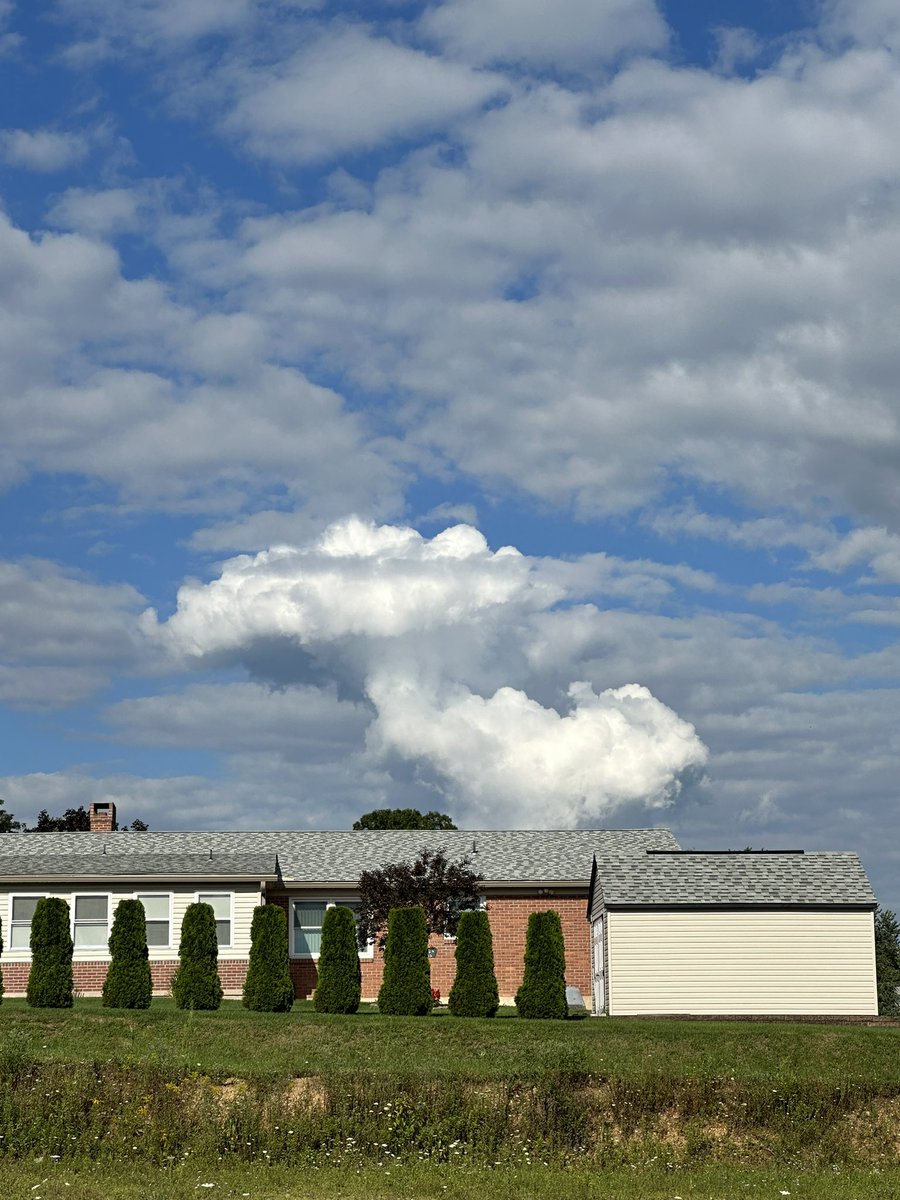 Patrick Coyle tweet media