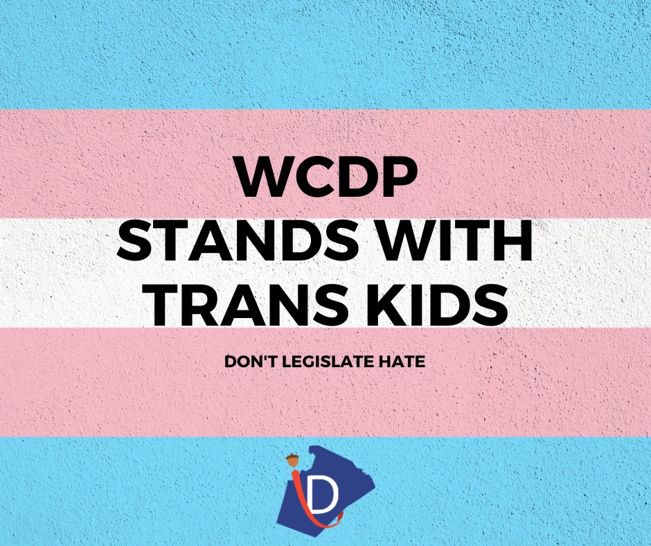 wakedems's tweet image. Republicans in the NCGA won't pass a budget, but somehow find time to legislate their hate.  What happens today in the NCGA will be answered for in 2024.