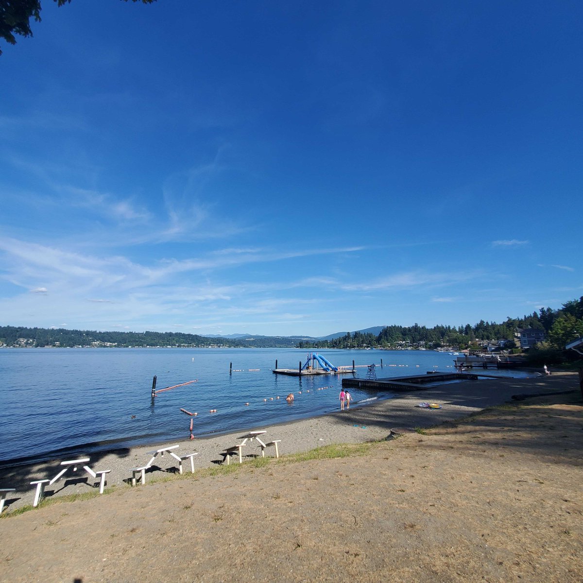 Midwinter Entertainment tweet media