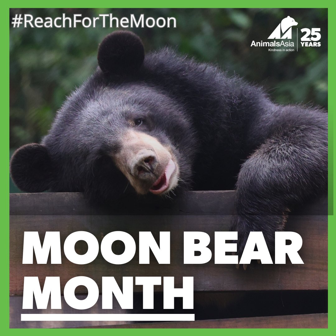 @AnimalsAsia I’m proud to be celebrating #MoonBearMonth and supporting @AnimalsAsia to #rescue the last #bears on #bilefarms in #Vietnam! animalsasia.org/nobearleftbehi… #KindnessInAction #NoBearLeftBehind #MoonBearMonth #ReachForTheMoon