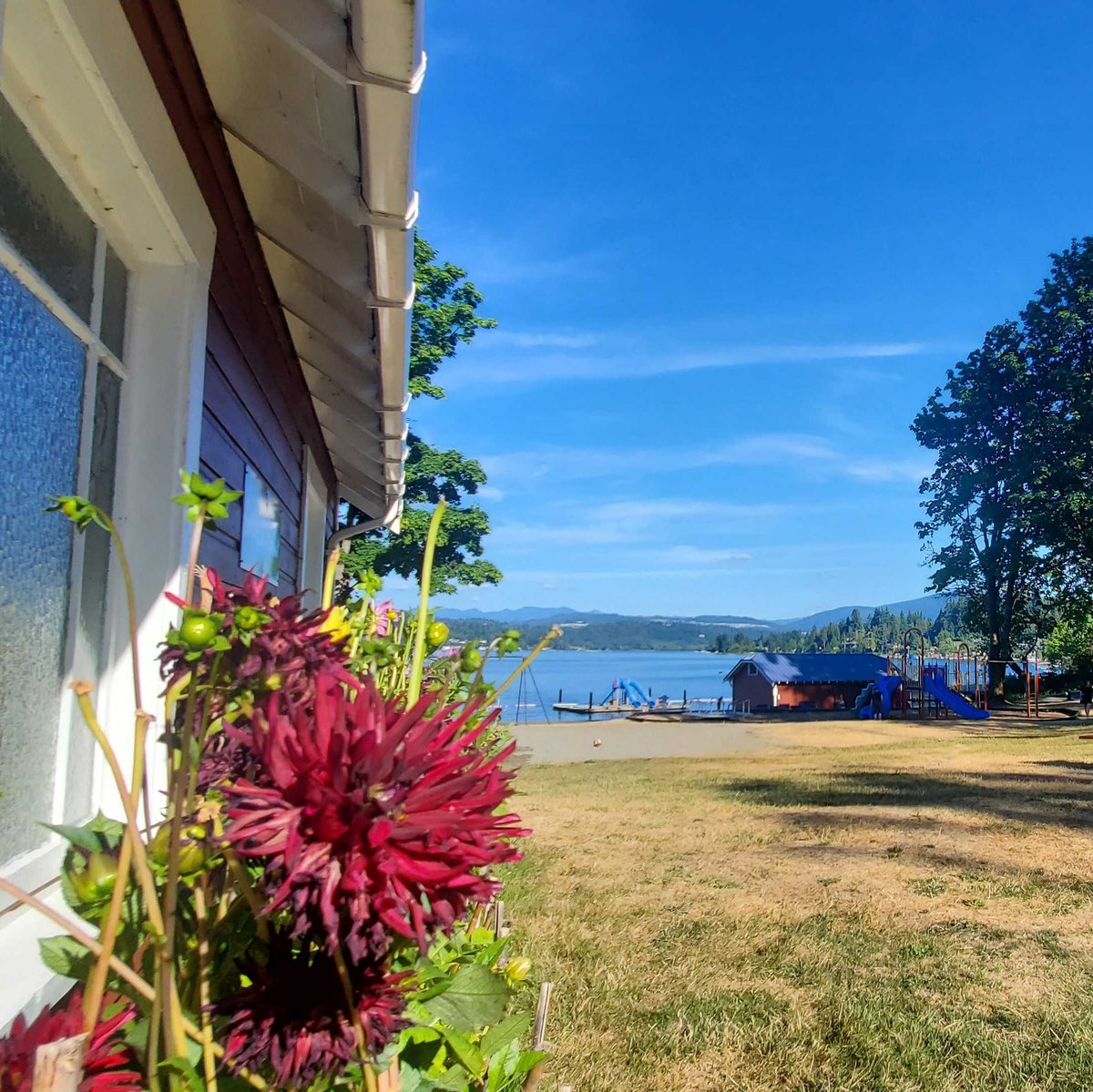 Midwinter Entertainment tweet media