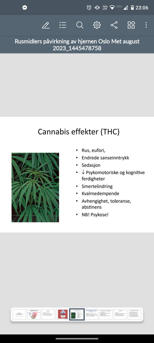 R68178835's tweet photo. @2masFish @skandal0s Vi ble fortalt det av professoren i dag, at det kan gi fare for psykose, medfører ikke dette riktighet? https://t.co/ADPYmJjeL3