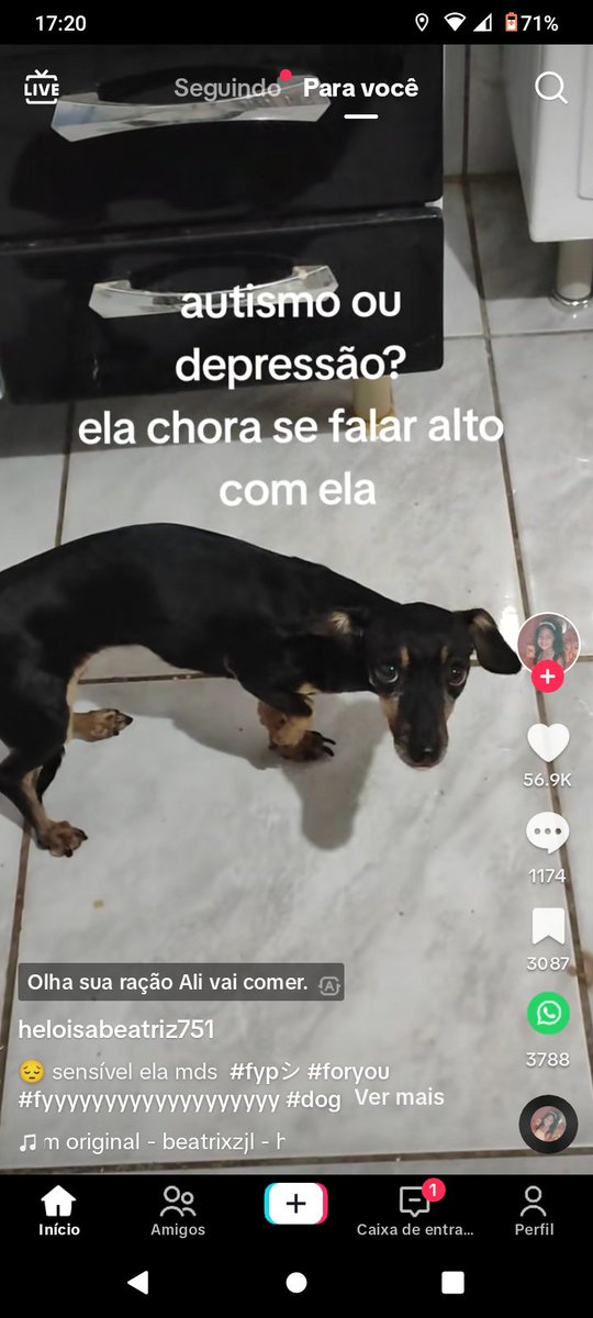 oli tweet media