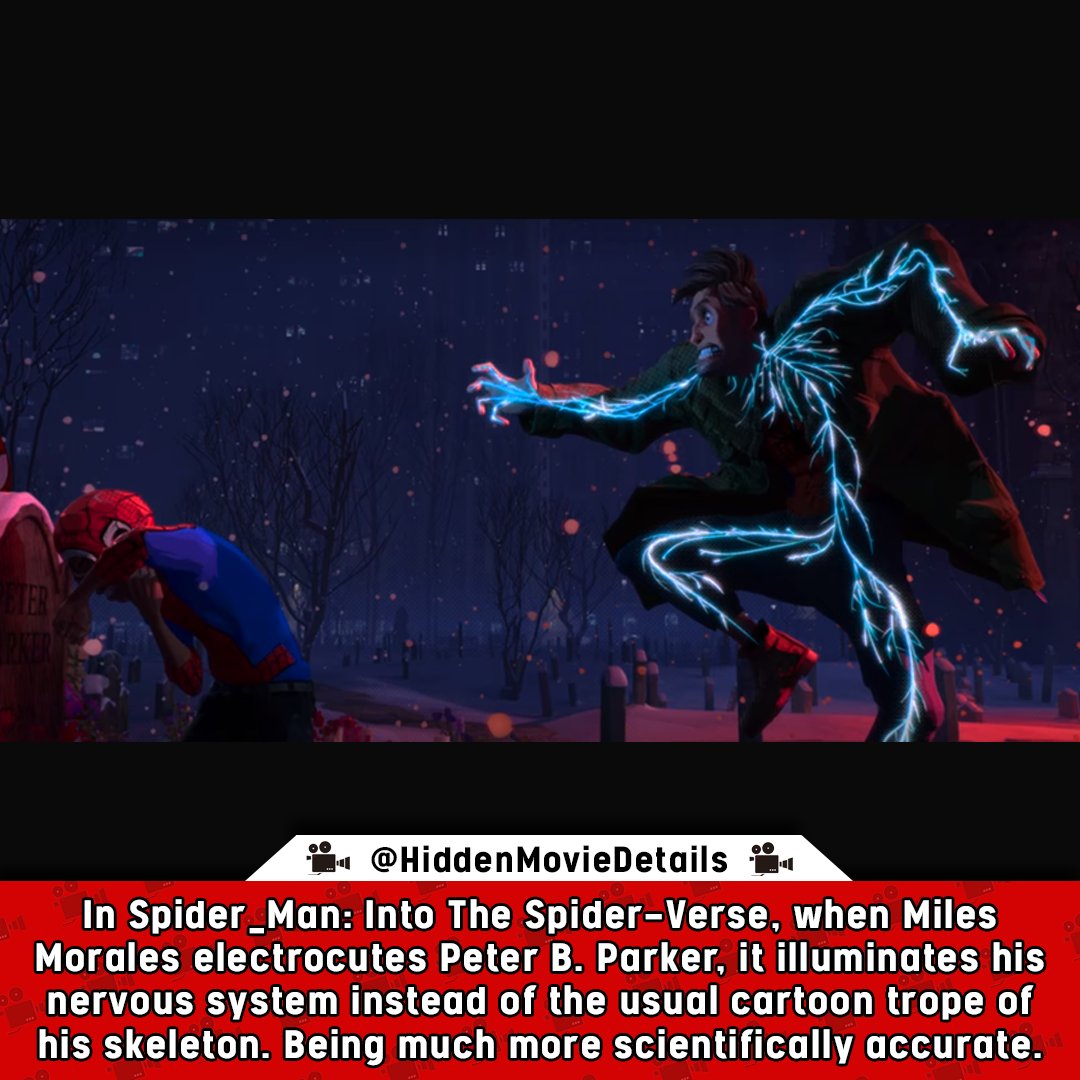 Did you know this about Spider-Man IntoThe Spider-Verse