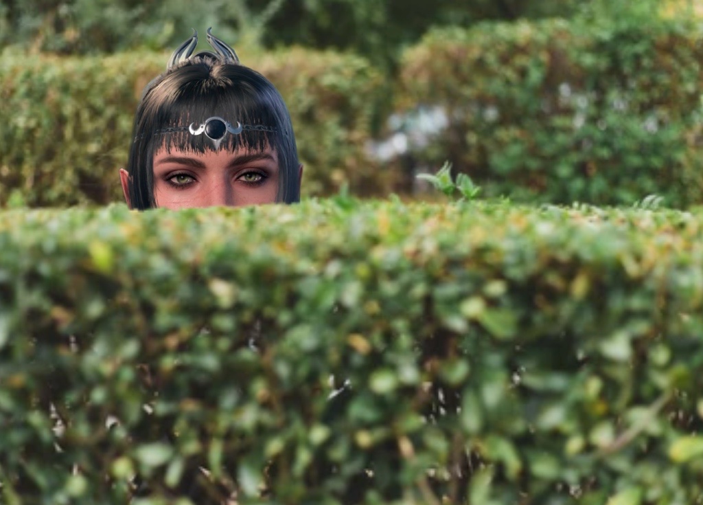 ever since shadowheart unexplainably told me she heard my conversation with gale ON THE OTHER SIDE OF THE FUCKING CAMP every cutscene she’s not in I picture her in the bushes like