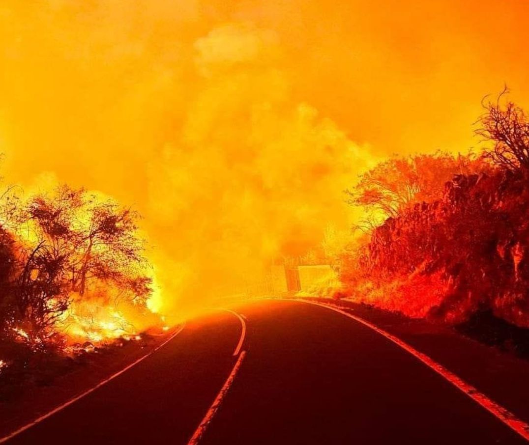 BomberosTf's tweet photo. 🔥🚨Actualización #IFArafoCandelaria
ℹ El incendio forestal se encuentra fuera de control, con una superficie afectada que supera las 1.600 hectáreas y un perímetro de 22 km.
👨‍🚒📢 Hoy han participado 14 aéreos y 270 efectivos. Esta noche trabajarán 258 terrestres. https://t.co/Nao8puhaqc