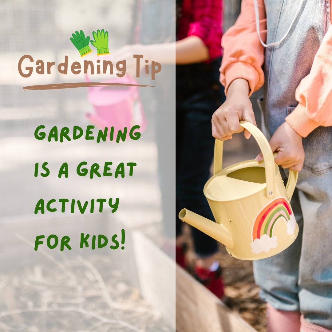 ChrisStover13's tweet photo. Make it a family affair! 👨‍👩‍👧‍👦 Get your kids involved in gardening by letting them choose and plant their own seeds. They'll love watching their mini gardens grow! #FamilyGardening #SFRealtor #SanFranciscoRealEstate #BayAreaRealtor https://t.co/KImMdTI1qz