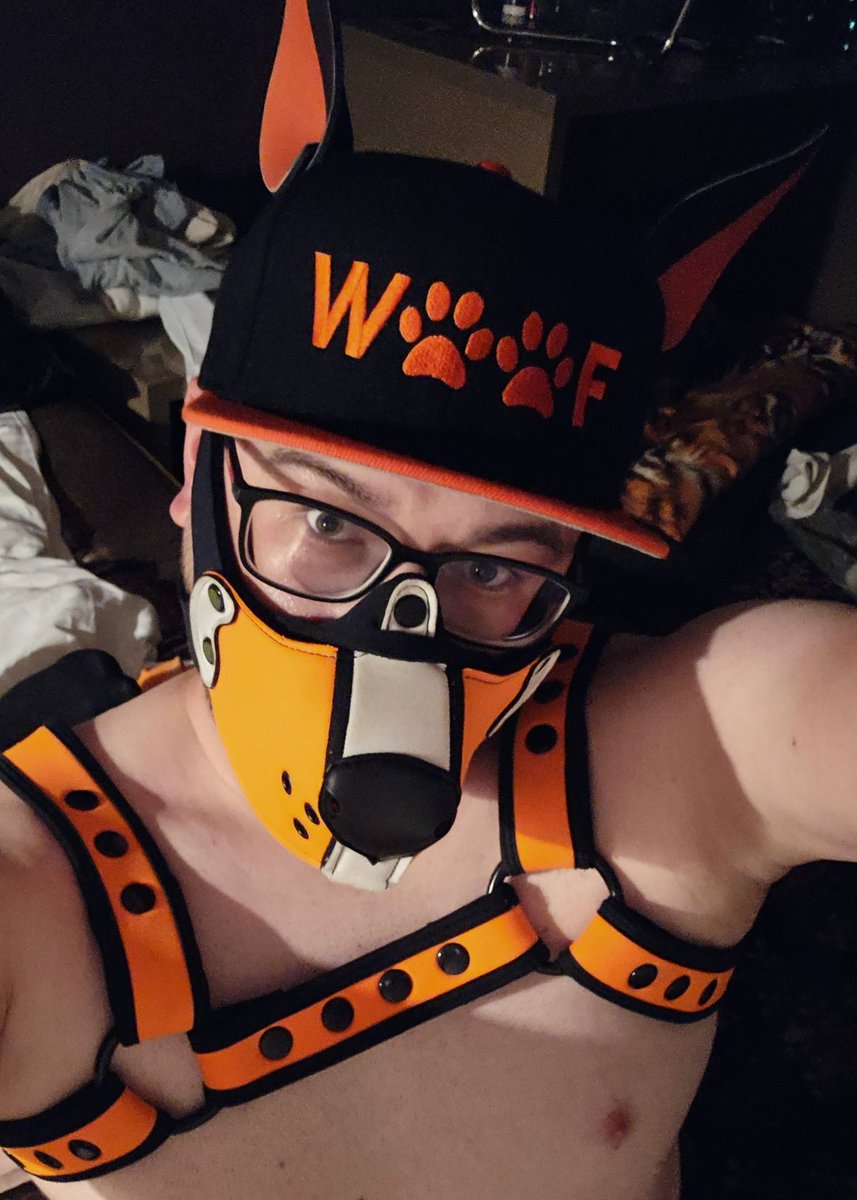 DoggoHuf's tweet photo. Got a fantastic cap from #wruffstuff as birthday gift from my beloved @DogTugger and @KamanoWolf
Thank you guys,  it looks great <3 https://t.co/dzg7LrbWmI