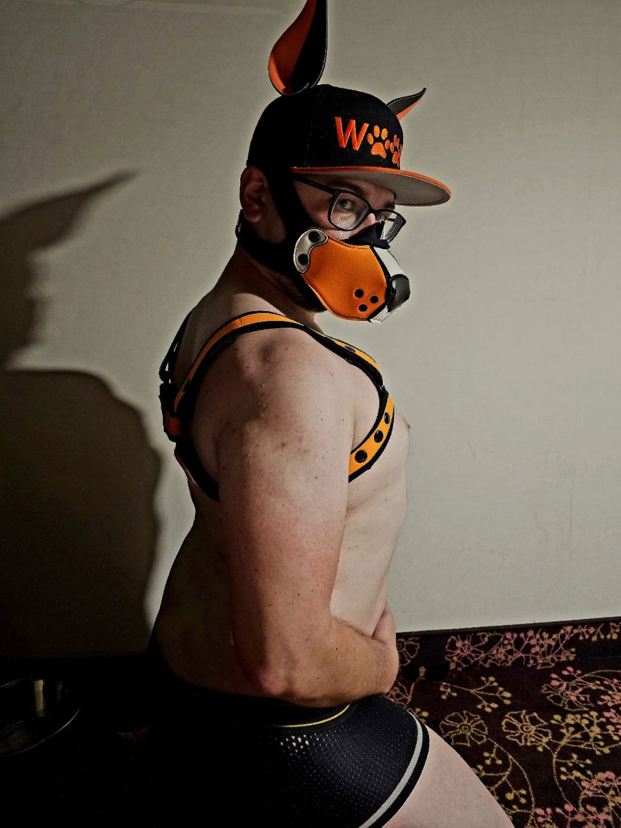 DoggoHuf's tweet photo. Got a fantastic cap from #wruffstuff as birthday gift from my beloved @DogTugger and @KamanoWolf
Thank you guys,  it looks great <3 https://t.co/dzg7LrbWmI