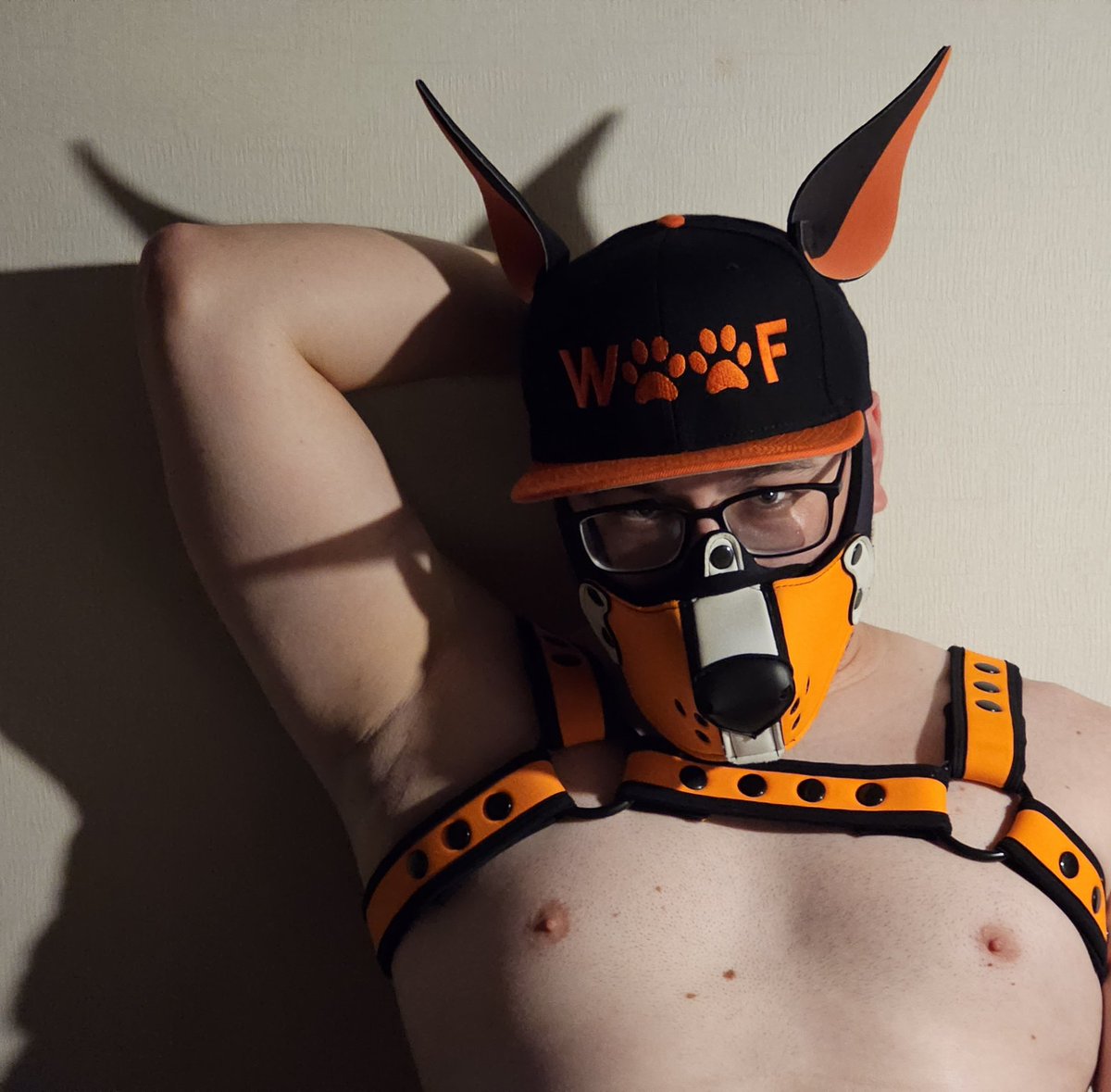 DoggoHuf's tweet photo. Got a fantastic cap from #wruffstuff as birthday gift from my beloved @DogTugger and @KamanoWolf
Thank you guys,  it looks great <3 https://t.co/dzg7LrbWmI