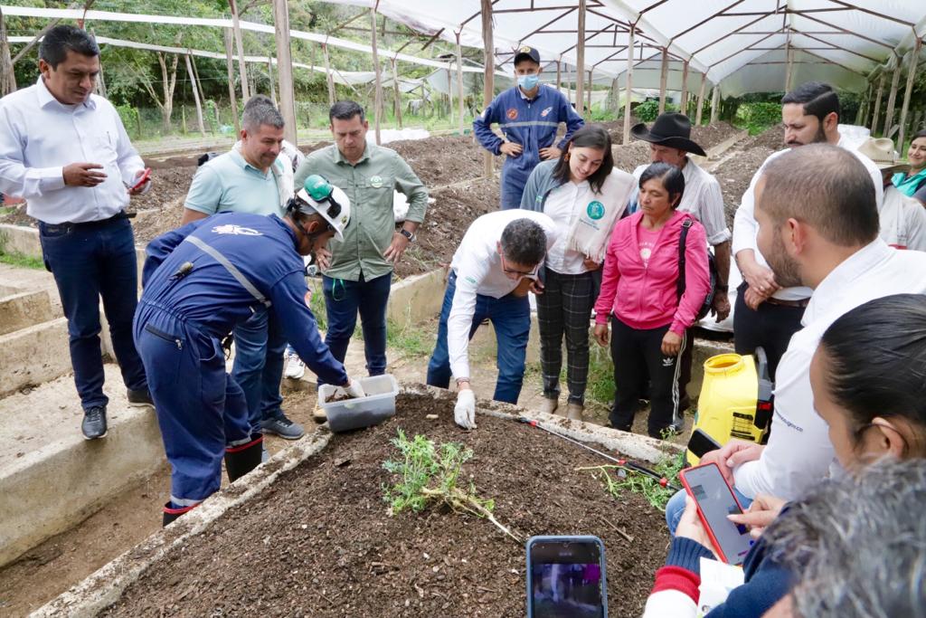 RamiroBarraganA's tweet photo. ¡Lo que está ocurriendo en Lengupá es asombroso y ejemplo para todo el país y el 🌎 en manejo de residuos!

Vinimos a visitarlos. Iniciamos hace año y medio junto a Asolengupá, Tierra Viva y @GobBoyaca este proyecto y es exitoso: transformación de residuos orgánicos con escarabajos.

A partir de este proceso, 7 municipios están produciendo abono sólido y líquido en la planta de aprovechamiento de Miraflores.

Aquí en Lengupá hay solución real, para lo que ha sido un problema en muchos lugares.