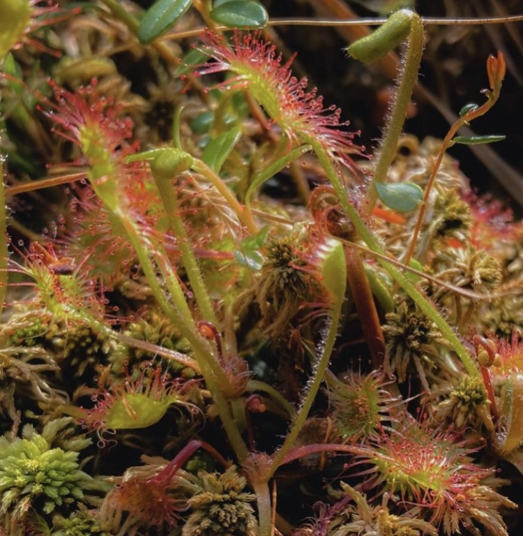 AppliedGRG tweet media