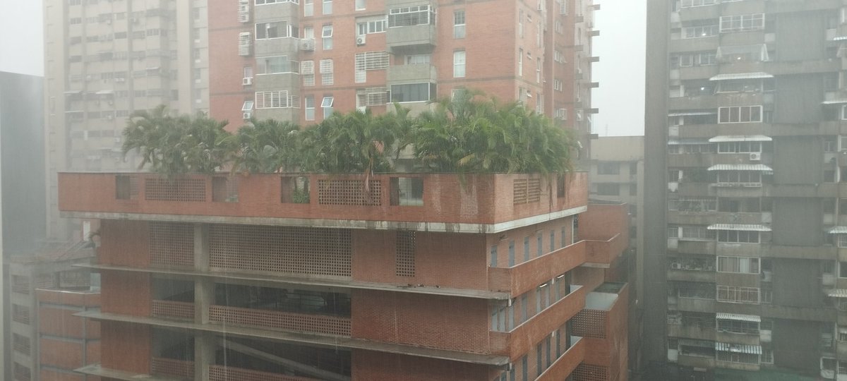 potenzax's tweet photo. 16/08/2023 5:30 pm Fuerte lluvia con ráfagas de viento en zona norte de #lacandelaria https://t.co/HmCNnz3Fus