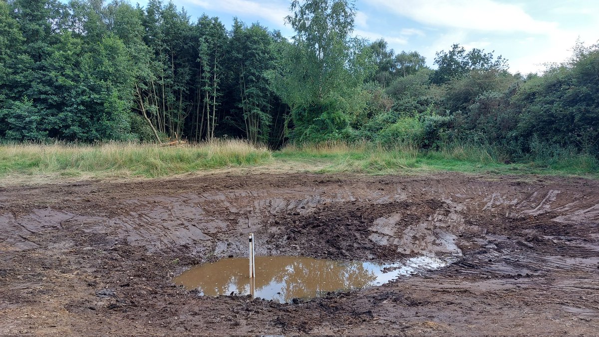 norfolkponds's tweet photo. 1/2: On the #ghostpingo #pond resurrection trail! The final excavation after 3 days of working on this infilled ice age depression (of some kind) near Caston, Norfolk. Lots of old buried seed-rich wetland sediment exposed. Another success coming! @hburningham @tim_holt_wilson https://t.co/5rbXiXNU3f