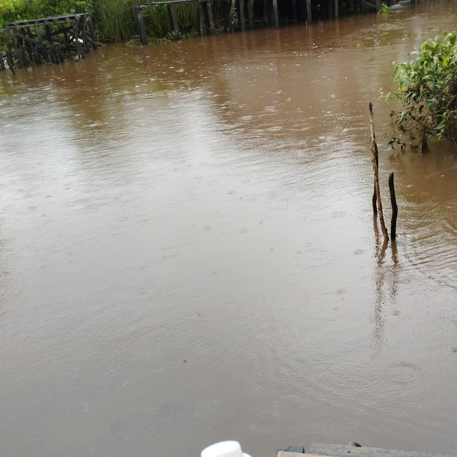 In a drizzle of rain, I bathe in this river, to understand that this river is not polluted. no palm oil waste no coal waste. #ClimateCrisis #ClimateAction