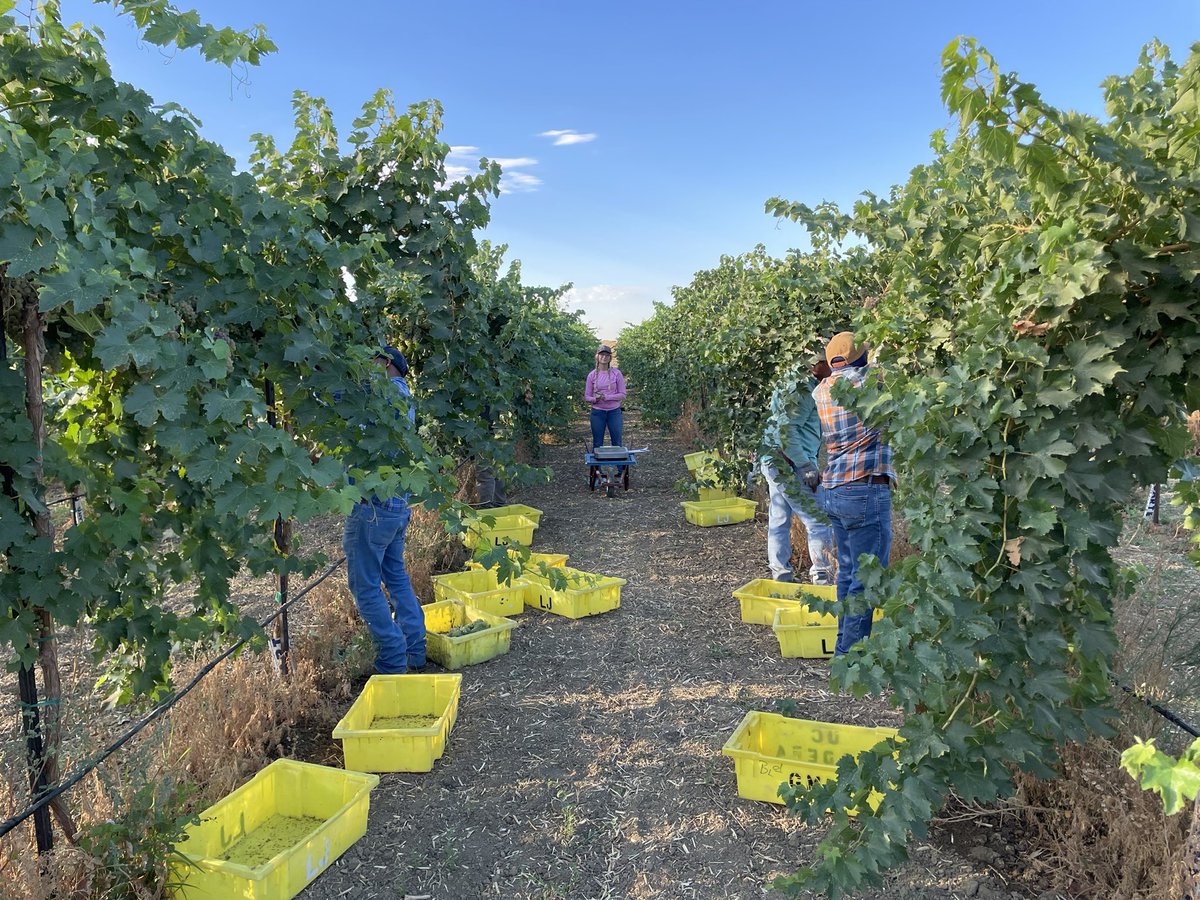 George Zhuang tweet media