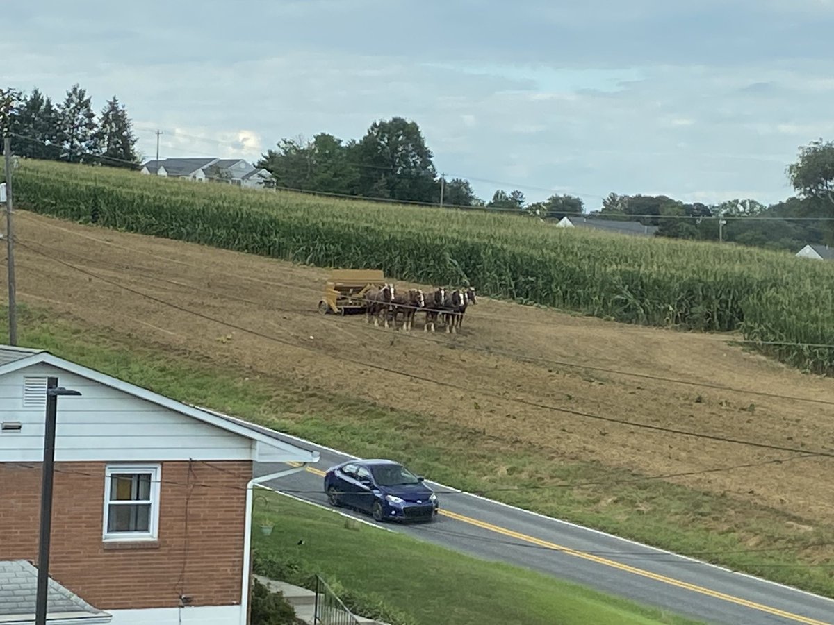 Watching this team sees something-from my hotel window. Drill operator stops the team and refills the planter with one bag. Not sure why he doesn’t add more than one bag. Each time he stops to refill, the wait is approx. 20 minutes.