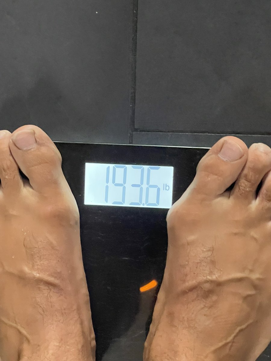 John Scavone tweet media