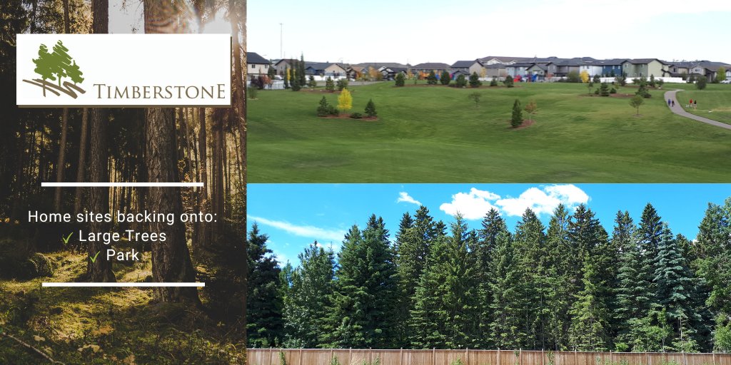 laebonhomes's tweet image. Picture yourself here... #Timberstone phase 6 truly is a community unlike any other in the city. A few home sites remain either backing onto the trees or greenspace 🌲🌳

#DontMissOut #CustomHomes #RedDeer