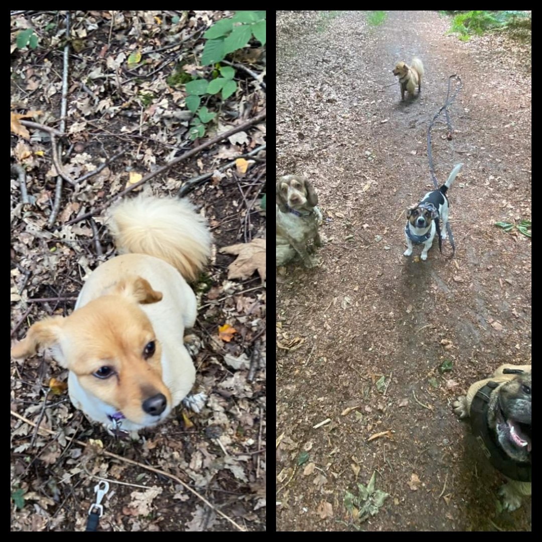 Amy here. All by myself 🎶🎶
"Whatcha talking about Amy, we Here. Silly girl." 💜💜💜